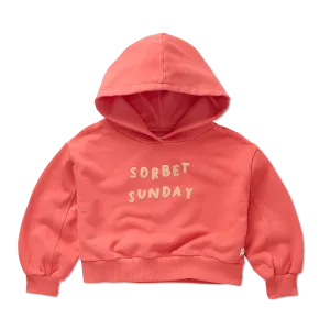 Hooded cropped sweatshirt by Sproet & Sprout