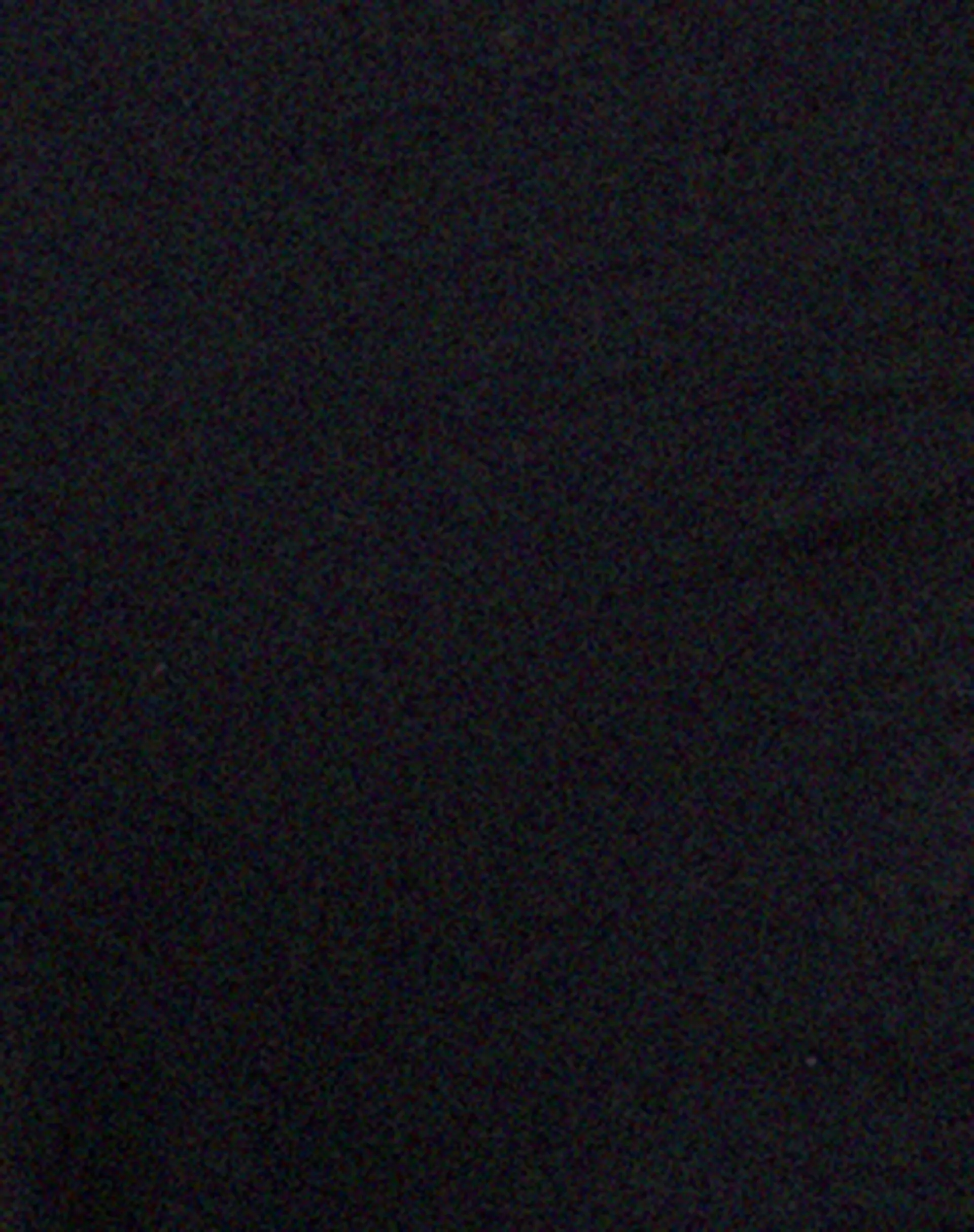 Silas Crop Top in Black